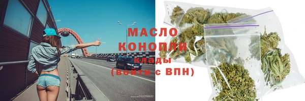 spice Богородск