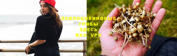 меф VHQ Богданович