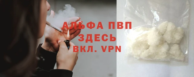 spice Богородск