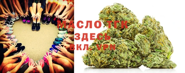spice Богородск