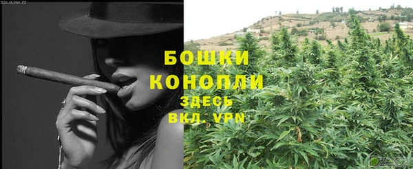 spice Богородск
