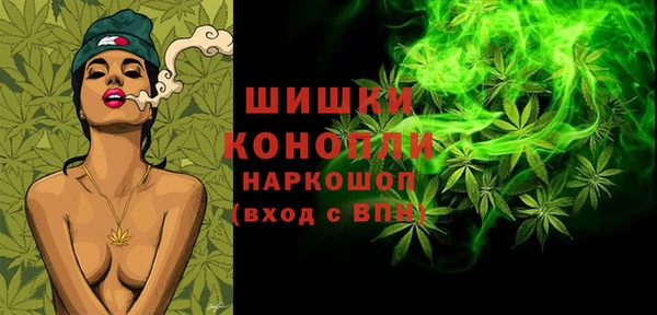 spice Богородск