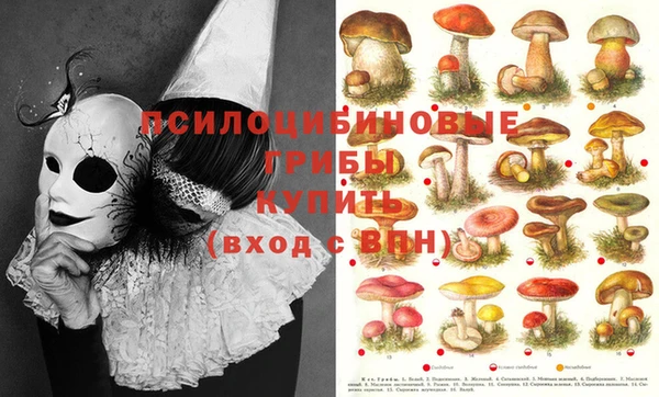 таблы Волоколамск