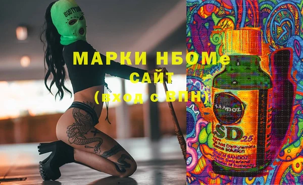 spice Богородск